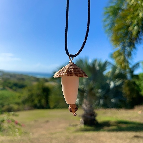 Hand Crafted Jewelry - Limpet and olive Shell necklace